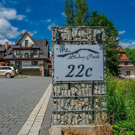 Willa Skalny Potok Zakopane Kültér fotó