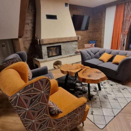 Willa Skalny Potok Zakopane Kültér fotó