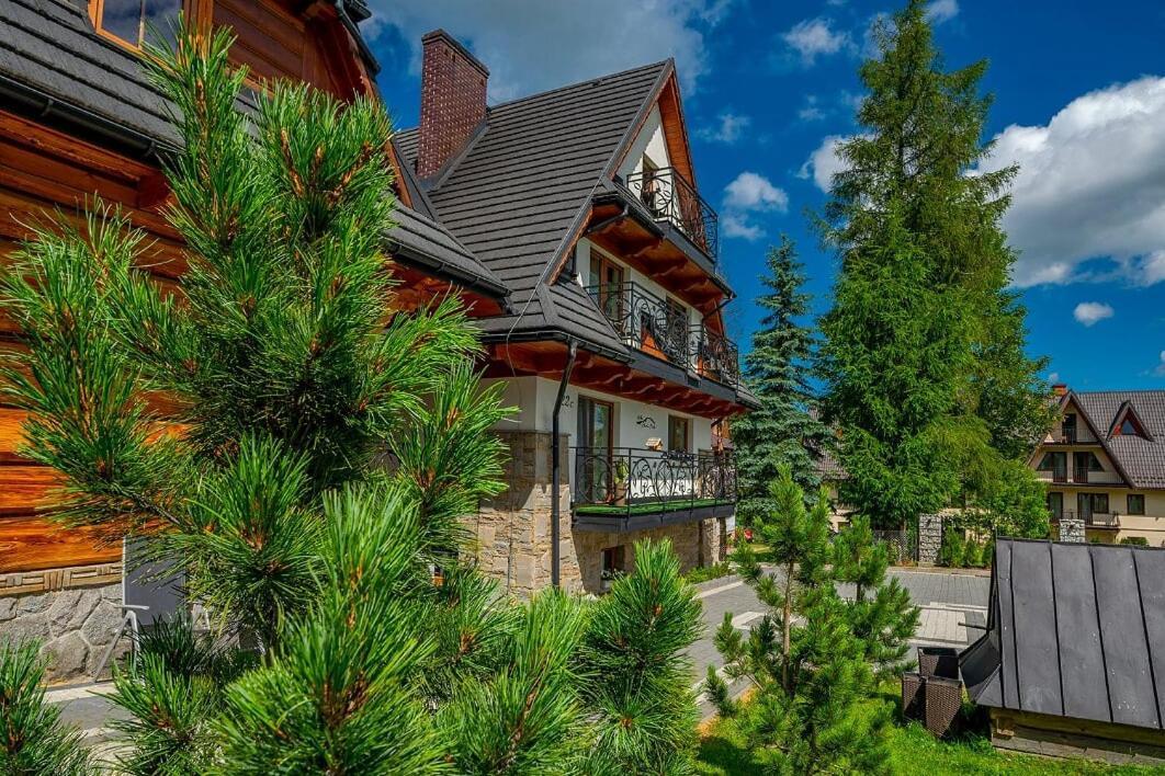 Willa Skalny Potok Zakopane Kültér fotó