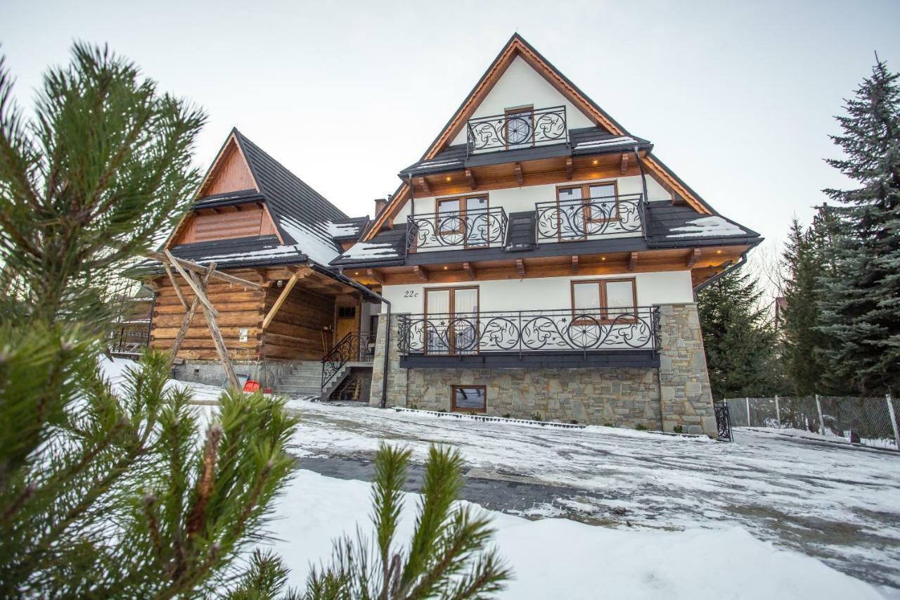 Willa Skalny Potok Zakopane Kültér fotó