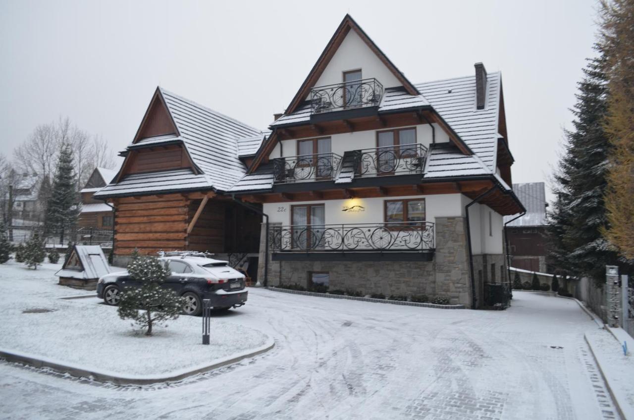 Willa Skalny Potok Zakopane Kültér fotó